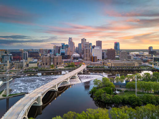 Tree services in Minneapolis, MN